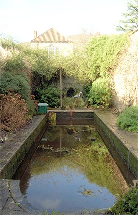 Pond Cleaning & Maintenance Burnham-on-Sea