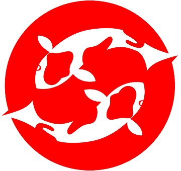 Ponds Koi Carp and fish husbandry