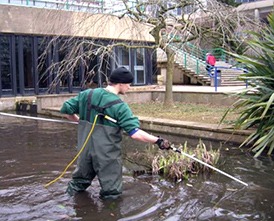 Electrofishing & Seine Netting